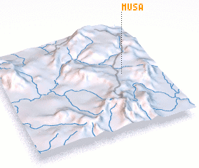 3d view of Musa