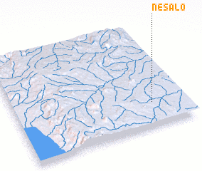 3d view of Nesalo