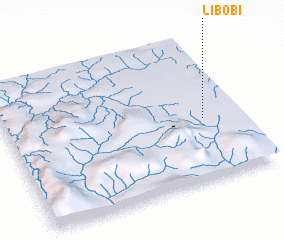 3d view of Libobi