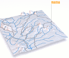 3d view of Maina