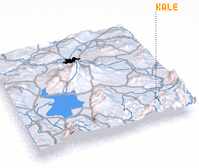 3d view of Kale