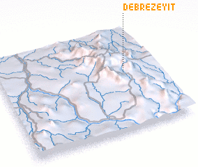 3d view of Debre Zeyit