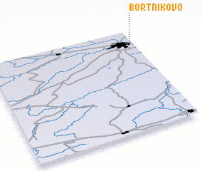 3d view of Bortnikovo