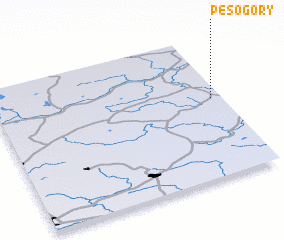 3d view of Pesogory