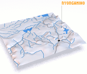 3d view of Nyongamiho