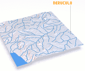 3d view of Neruculo