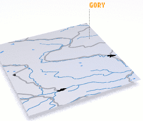 3d view of Gory