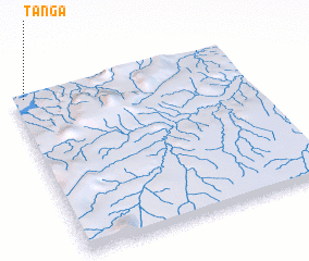 3d view of Tanga