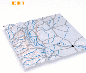 3d view of Mşībīn