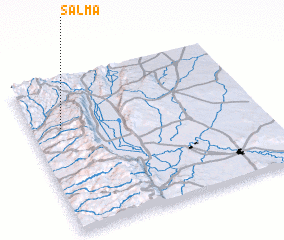 3d view of Salmá