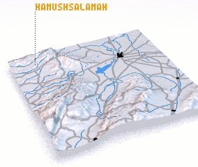 3d view of Ḩāmūsh Salāmah