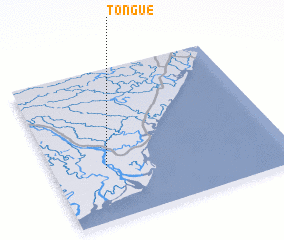 3d view of Tongué