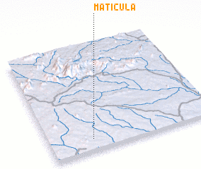 3d view of Maticula