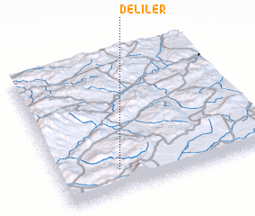 3d view of Deliler