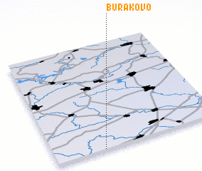 3d view of Burakovo