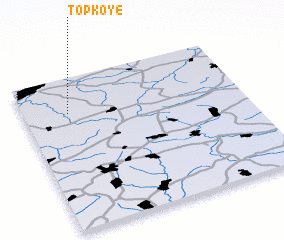 3d view of Topkoye