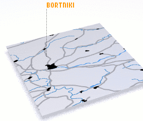 3d view of Bortniki