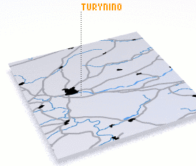 3d view of Turynino