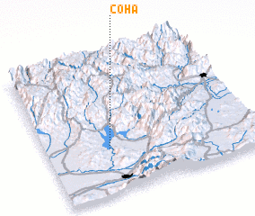 3d view of Coha
