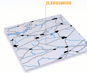 3d view of Slepushkino