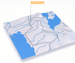 3d view of Gingero