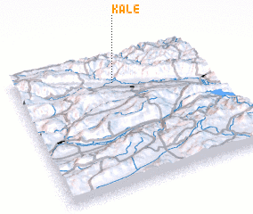 3d view of Kale