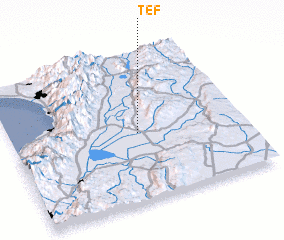 3d view of Tef