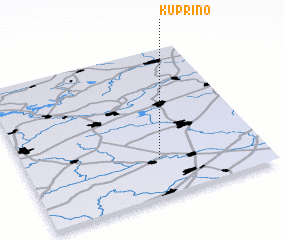 3d view of Kuprino