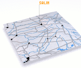 3d view of Salīm