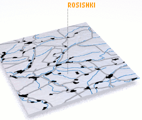 3d view of Rosishki