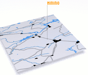 3d view of Minino