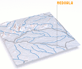 3d view of Meduala