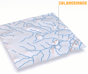 3d view of Salamerimane