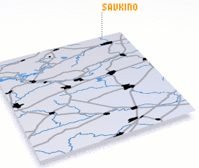 3d view of Savkino