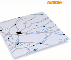 3d view of Sashkino