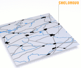 3d view of Shelomovo