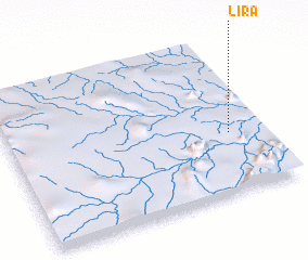 3d view of Lira