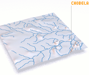 3d view of Chobela