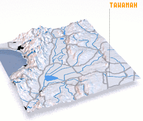 3d view of Tawʼamah