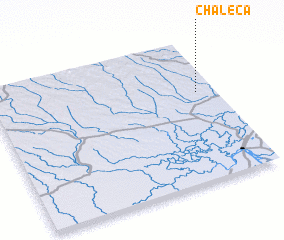 3d view of Chaleca