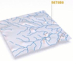3d view of Netoro