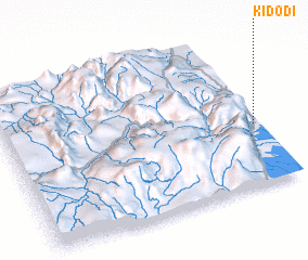 3d view of Kidodi