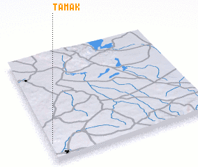 3d view of Tamak