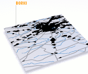 3d view of Borki