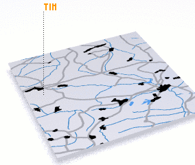 3d view of Tim