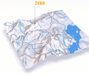3d view of Zeba