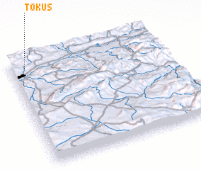 3d view of Tokuş