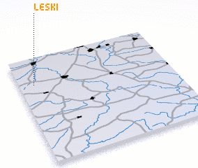 3d view of Leski