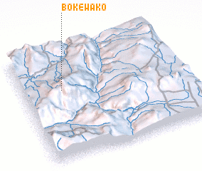 3d view of Boke Wako