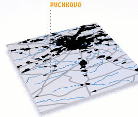 3d view of Puchkovo